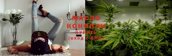 дживик Снежногорск