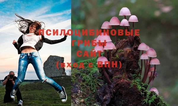 МДПВ Абинск