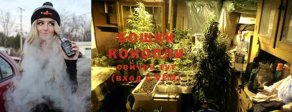 дживик Снежногорск