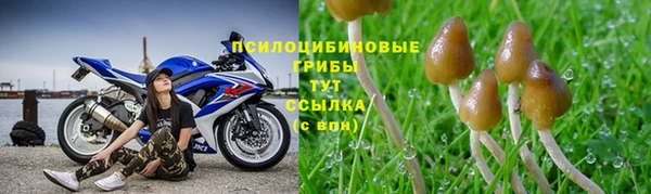 МДПВ Алексеевка