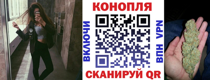Шишки марихуана план  Елизово 